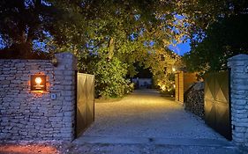 Les Agapanthes De Gordes